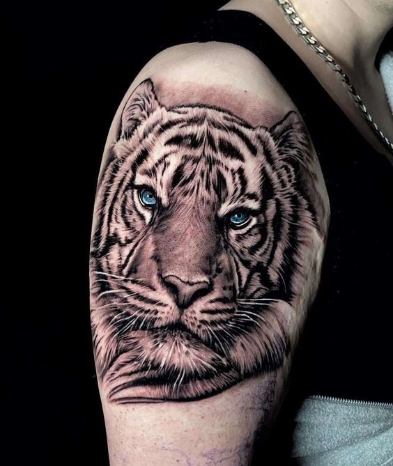 42+ Beautiful Tiger Tattoo Designs 2023