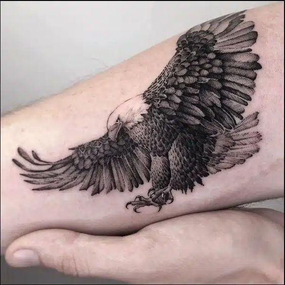 From Chest To Sleeve Showcase Of Eagle Tattoo Designs