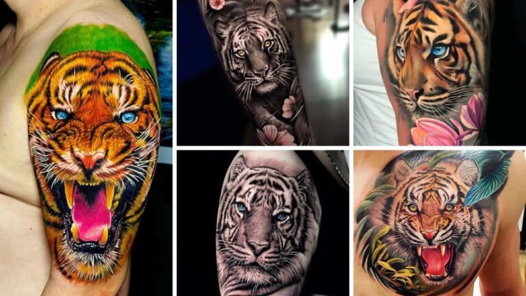 42+ Beautiful Tiger Tattoo Designs 2023