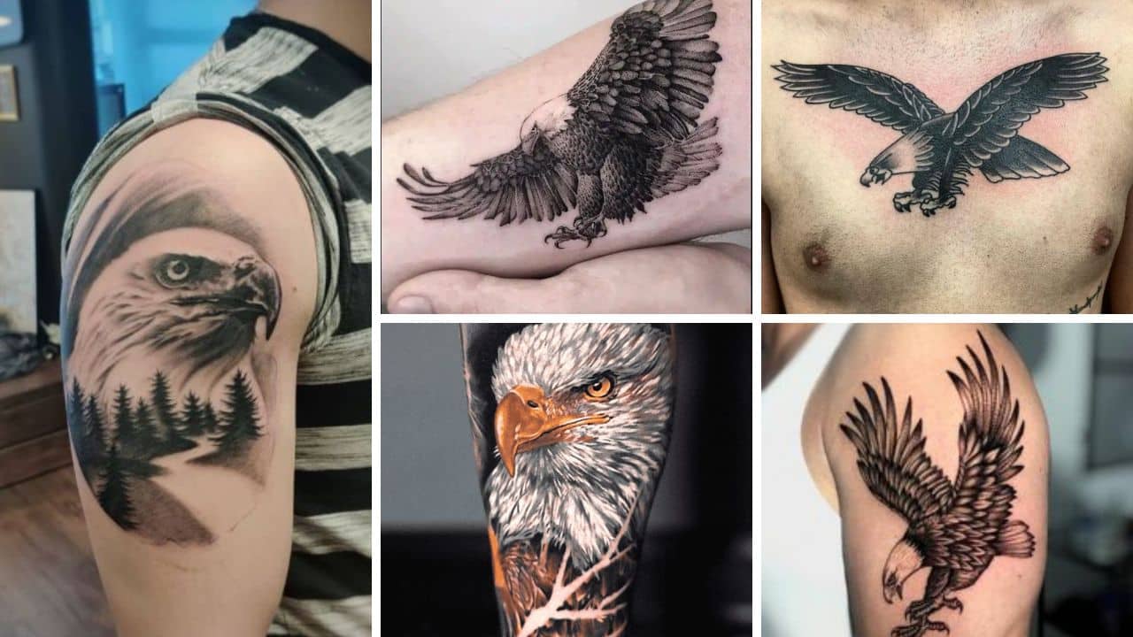 Bald Eagle Tattoo Design