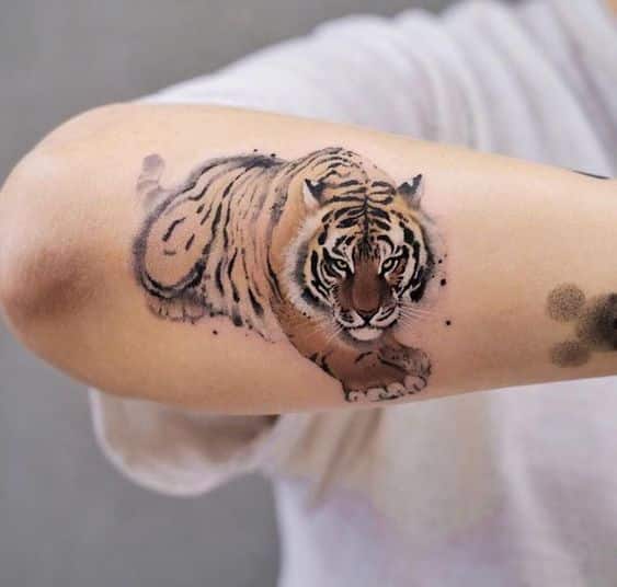 10 Simple Tiger Tattoo Ideas That Will Blow Your Mind  alexie