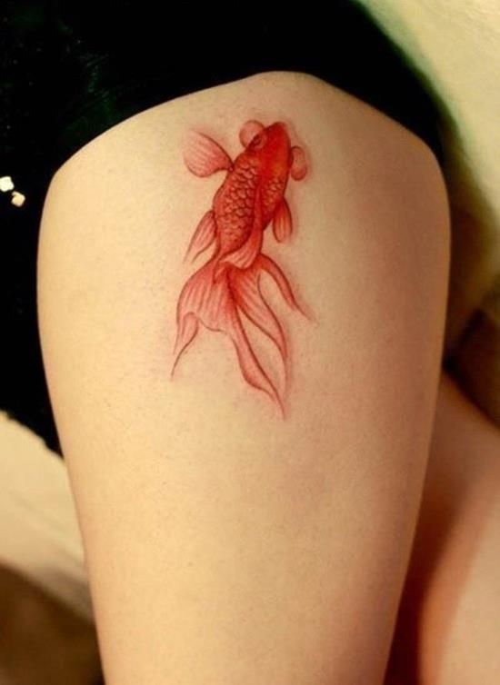 100+ Red Koi Fish Tattoo Designs You Must Try
