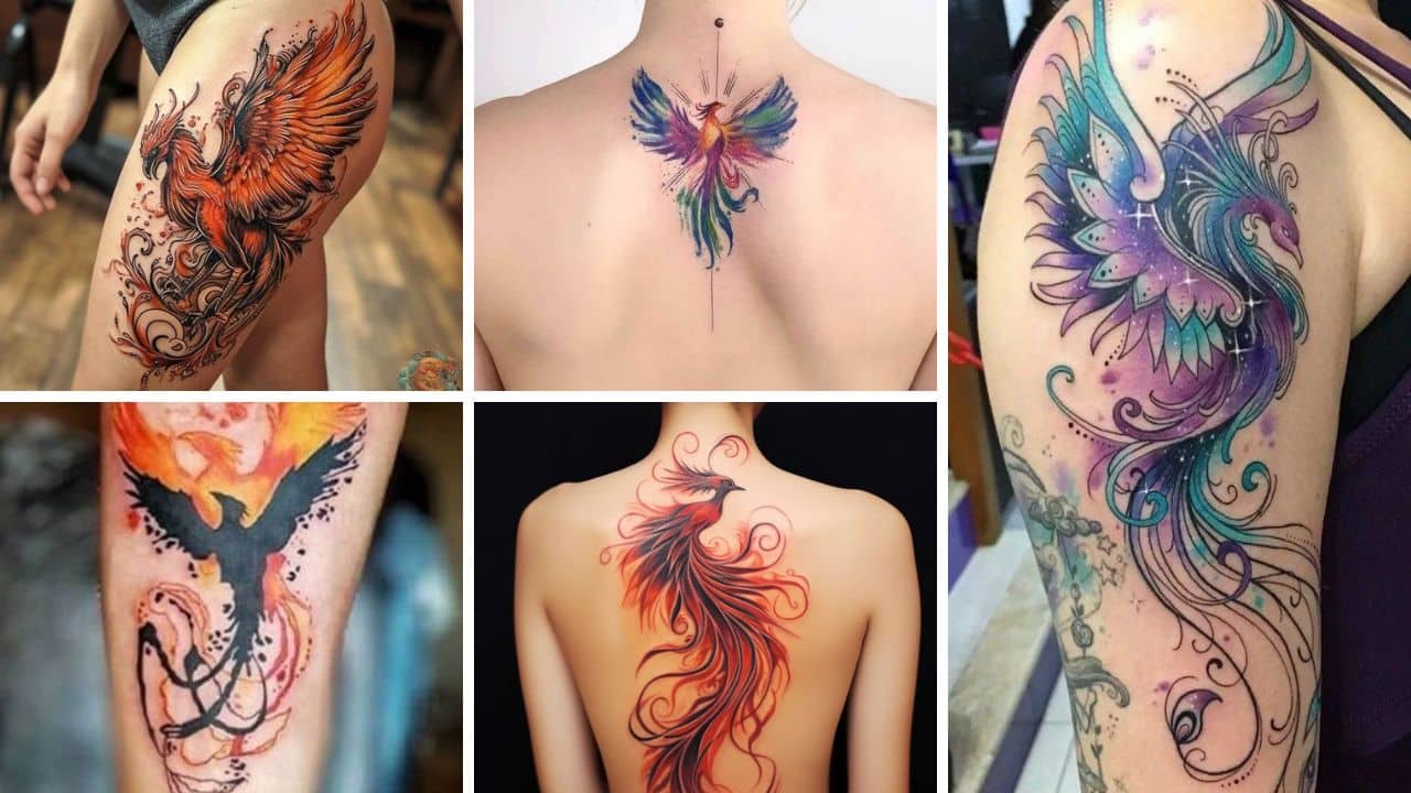 60+ Superb Pheonix Tattoo For Women